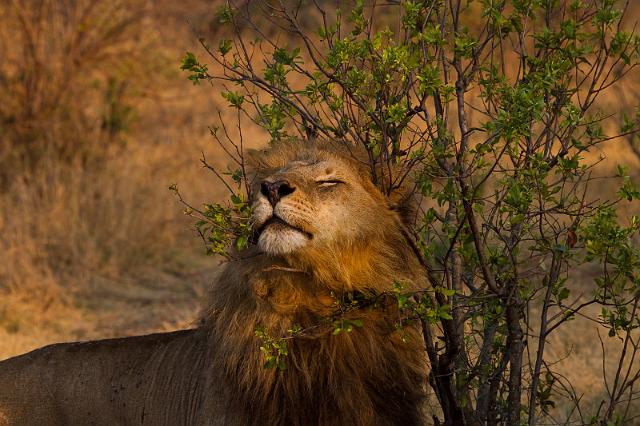 165 Okavango Delta, jeuk.jpg